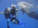 Hawaii Scuba divng 11