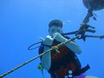 Hawaii Scuba divng 13