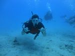 Hawaii Scuba divng 15