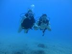 Hawaii Scuba divng 16