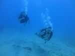 Hawaii Scuba divng 17