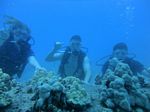 Hawaii Scuba divng 18