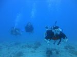 Hawaii Scuba divng 19