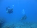 Hawaii Scuba divng 23