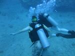 Hawaii Scuba divng 24