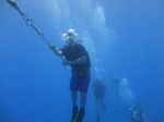 Hawaii Scuba divng 26