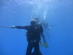 Hawaii Scuba divng 29