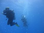 Hawaii Scuba divng 30