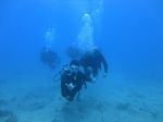 Hawaii Scuba divng 32