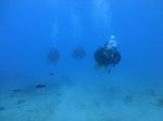 Hawaii Scuba divng 34