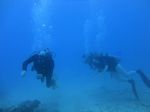 Hawaii Scuba divng 37