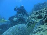 Hawaii Scuba divng 54