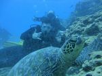 Hawaii Scuba divng 56