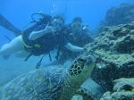 Hawaii Scuba divng 56