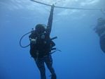 Hawaii Scuba divng 10