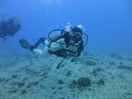 Hawaii Scuba divng 12