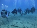 Hawaii Scuba divng 15