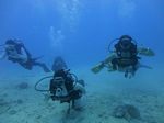 Hawaii Scuba divng 16