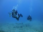 Hawaii Scuba divng 17