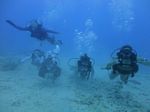 Hawaii Scuba divng 18