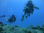 Hawaii Scuba divng 19