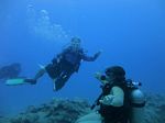 Hawaii Scuba divng 20