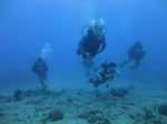 Hawaii Scuba divng 25