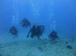 Hawaii Scuba divng 26