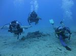 Hawaii Scuba divng 27