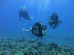 Hawaii Scuba divng 28