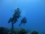 Hawaii Scuba divng 31