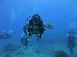 Hawaii Scuba divng 32