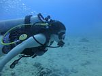 Hawaii Scuba divng 37