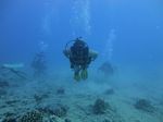 Hawaii Scuba divng 49