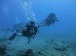 Hawaii Scuba divng 51