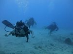 Hawaii Scuba divng 53