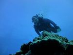 Hawaii Scuba divng 70