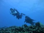 Hawaii Scuba divng 71