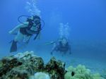 Hawaii Scuba divng 72