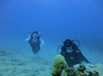 Hawaii Scuba divng 74