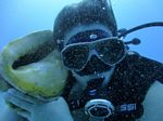 Hawaii Scuba divng 76