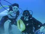 Hawaii Scuba divng 78