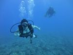 Hawaii Scuba divng 79