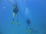 Hawaii Scuba divng 80