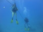 Hawaii Scuba divng 80