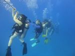 Hawaii Scuba divng 81