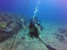 Hawaii Scuba divng 12