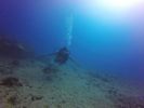 Hawaii Scuba divng 13
