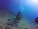 Hawaii Scuba divng 14