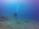 Hawaii Scuba divng 17